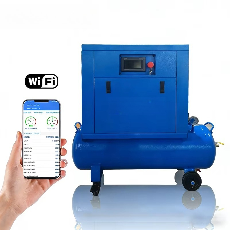 Mini Portable 2 in 1 Air Compr - Air Compressor Portable recension och pris