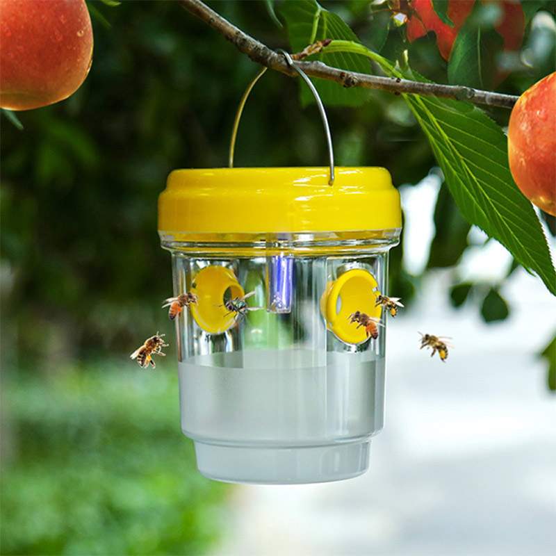 Solar Powered Fruit Fly Traps  - Outdoor Power Outlet Solar recension och pris