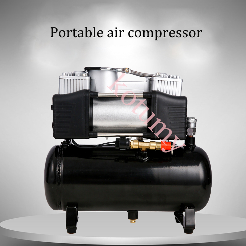 WAP01 2.5L 4L 12V 220V Air Com - Air Compressor Portable recension och pris